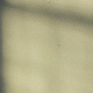 Meet your Posher, Madeline